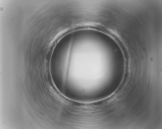 X0000055521404200508262154