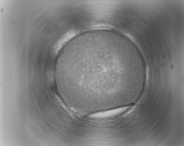 X0000055521405200508262154