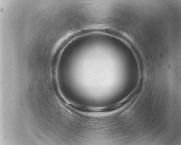 X0000055521406200508262154