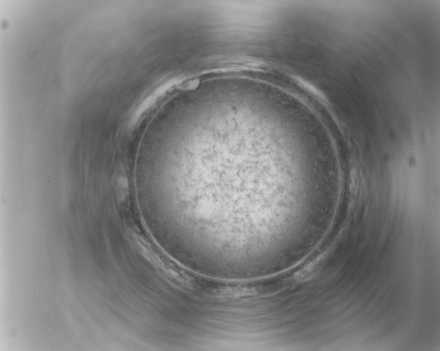 X0000055521407200508262154