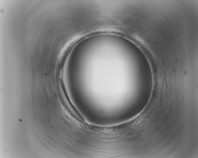 X0000055521408200508262154