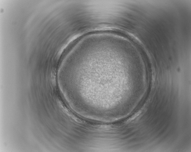 X0000055521409200508262154