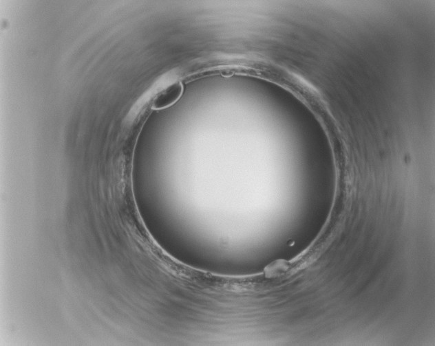 X0000055521411200508262154