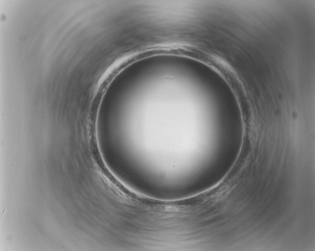 X0000055521412200508262154