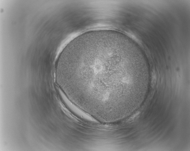 X0000055521413200508262154