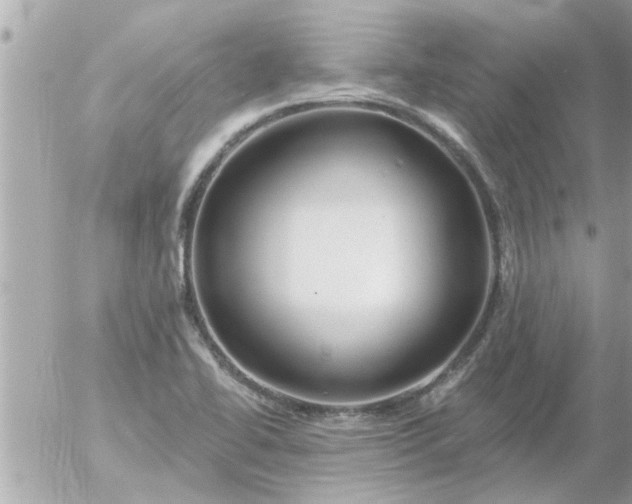 X0000055521414200508262154