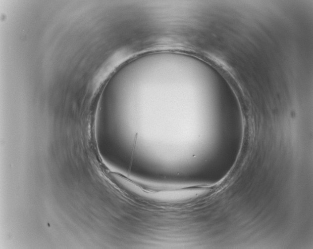 X0000055521415200508262154