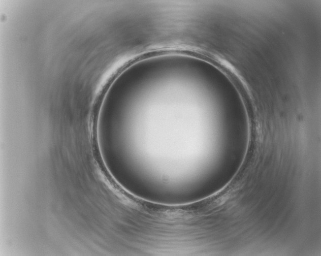 X0000055521416200508262154