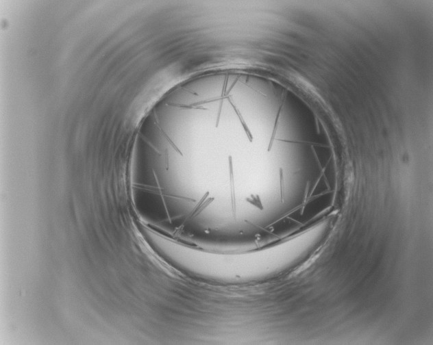 X0000055521417200508262154