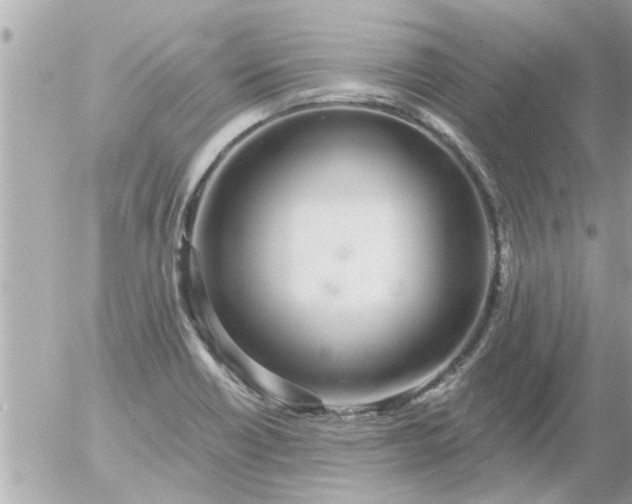 X0000055521418200508262154