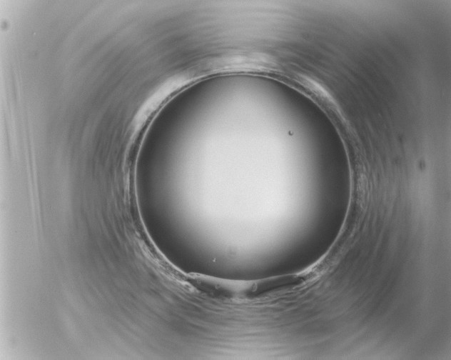 X0000055521419200508262154