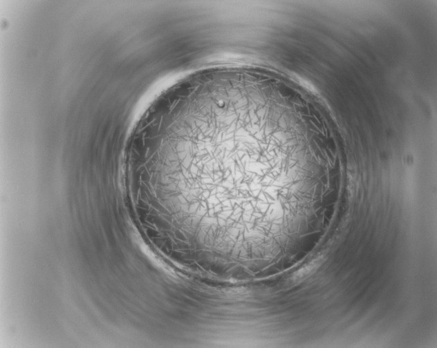 X0000055521421200508262154