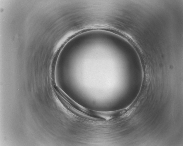 X0000055521422200508262154