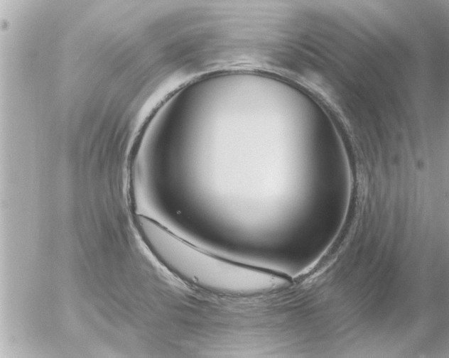 X0000055521424200508262154