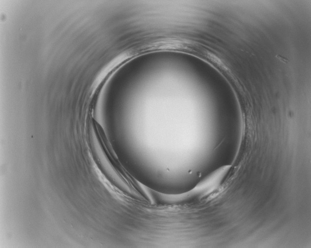 X0000055521426200508262154