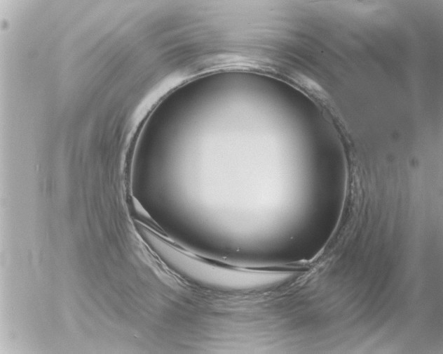 X0000055521427200508262154