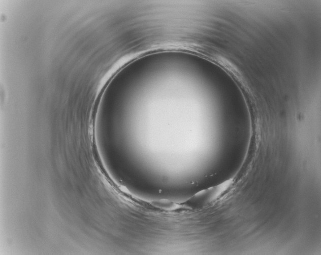 X0000055521428200508262154