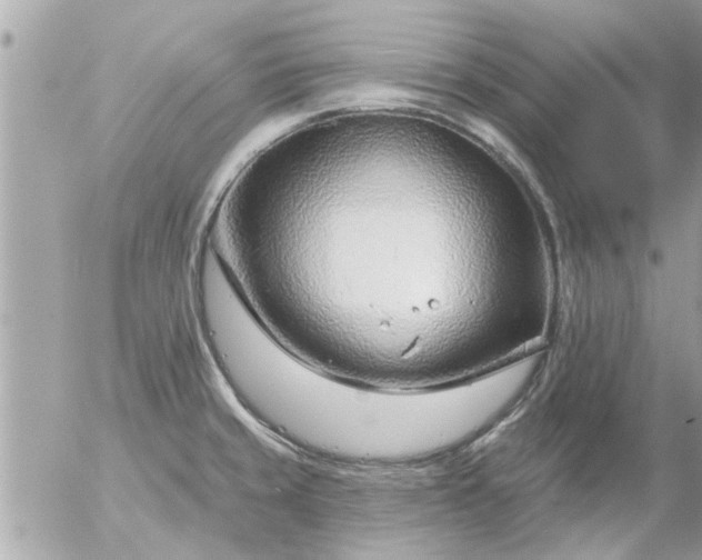 X0000055521429200508262154