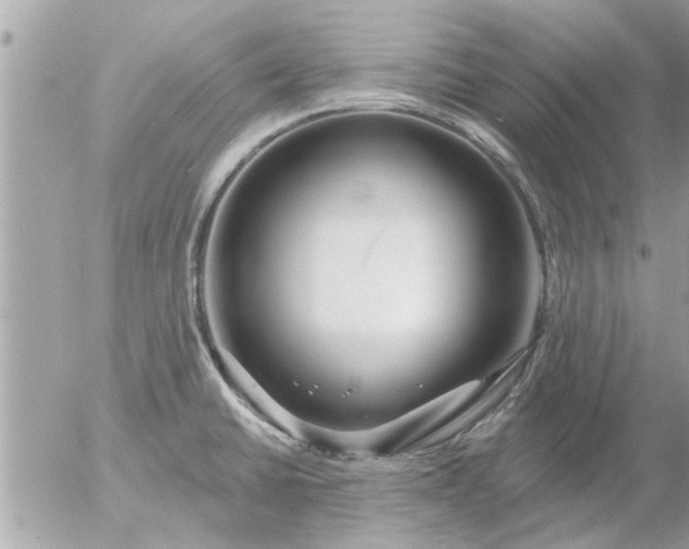 X0000055521430200508262154