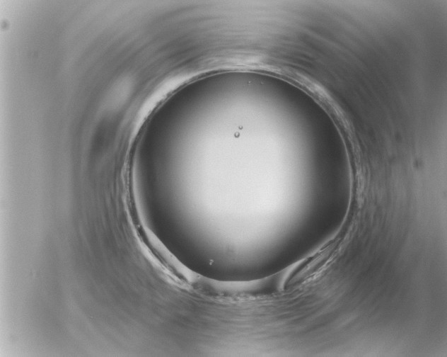 X0000055521432200508262154