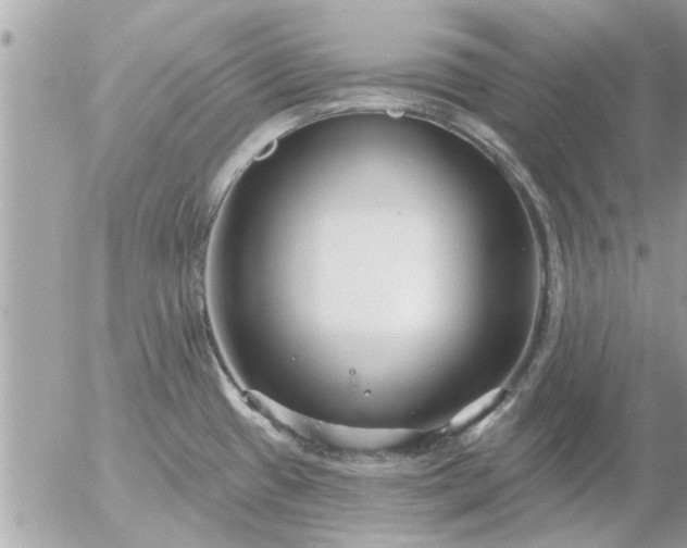 X0000055521433200508262154