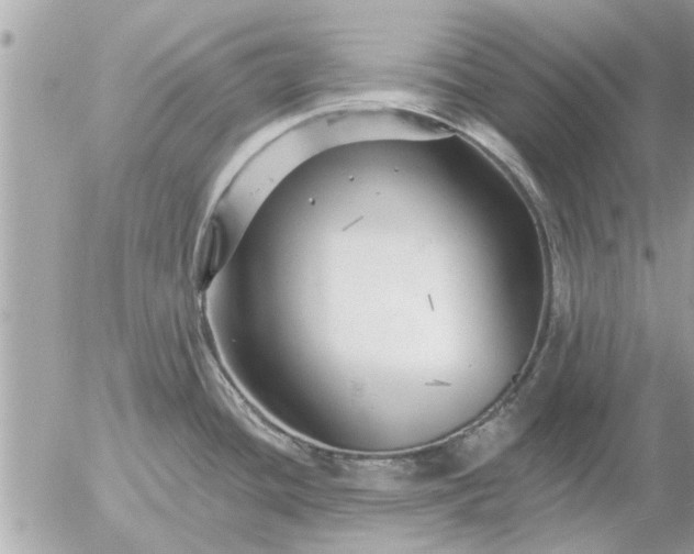 X0000055521436200508262154