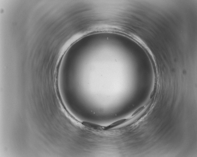 X0000055521437200508262154