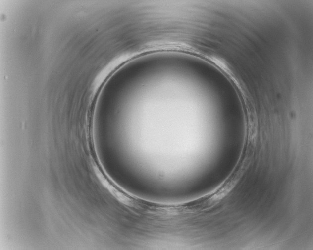 X0000055521438200508262154