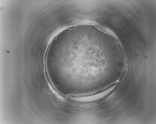 X0000055521439200508262154