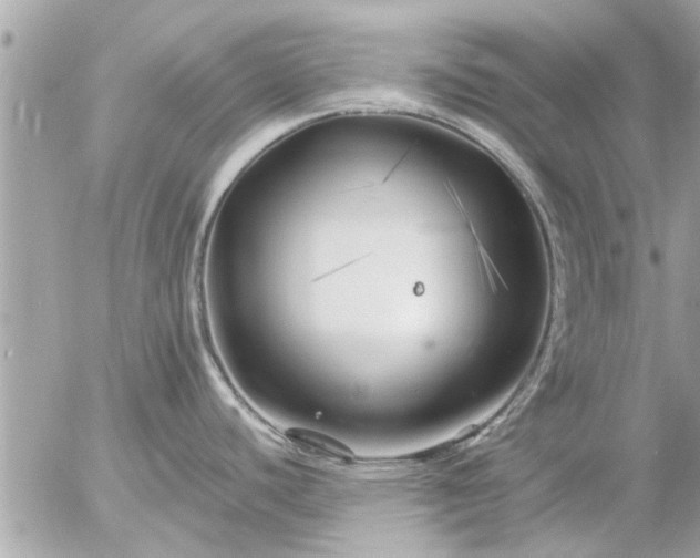 X0000055521440200508262154