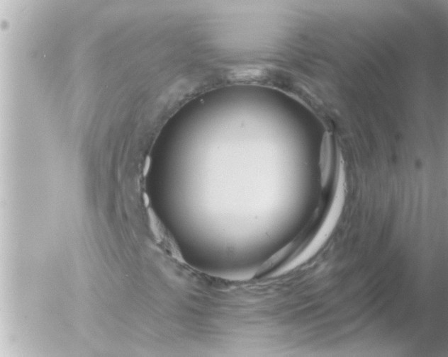 X0000055521441200508262154