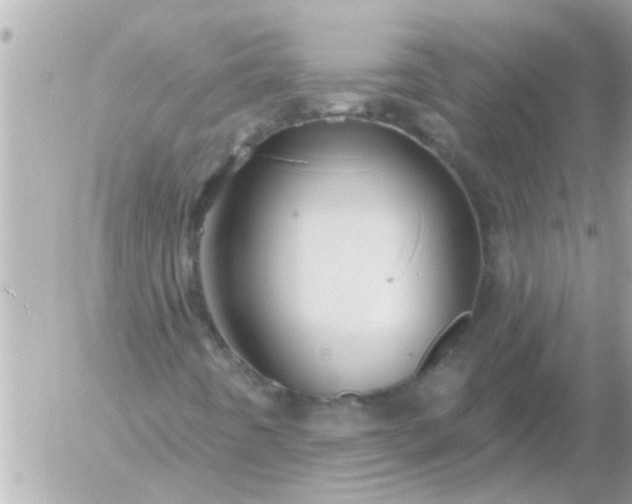 X0000055521442200508262153