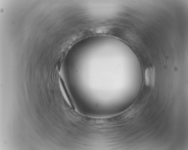 X0000055521443200508262153