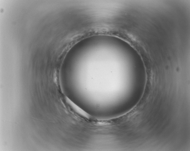 X0000055521445200508262153