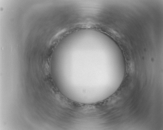 X0000055521446200508262153