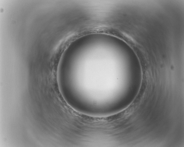 X0000055521447200508262153