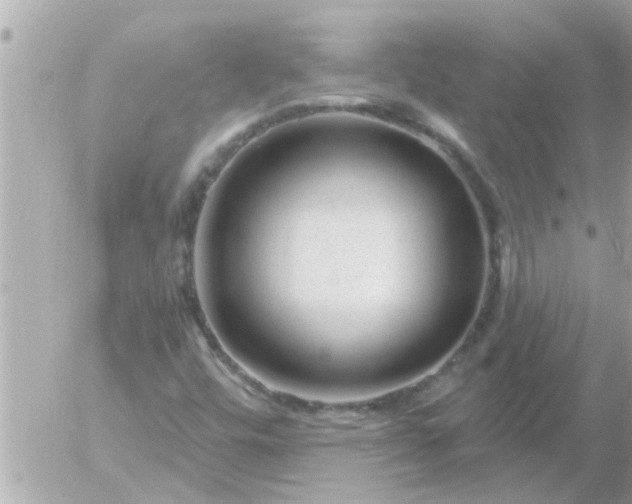 X0000055521448200508262153