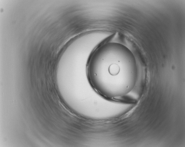 X0000055521449200508262153