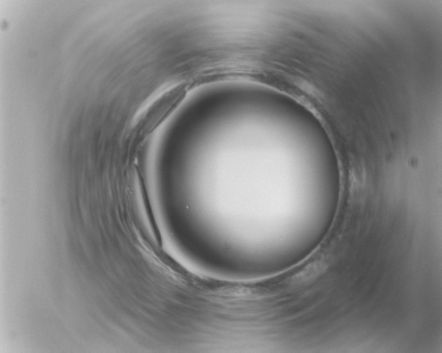 X0000055521450200508262153