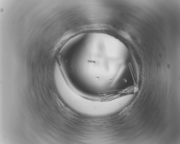 X0000055521451200508262153