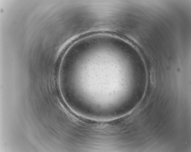 X0000055521452200508262153