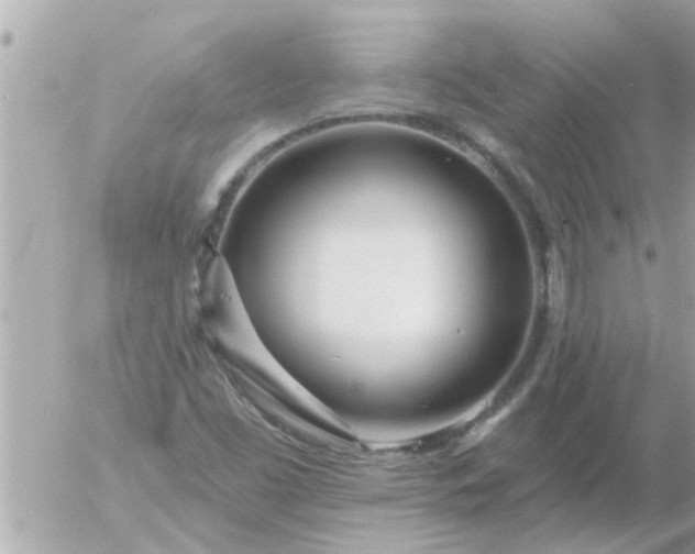 X0000055521453200508262153