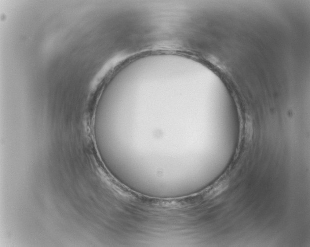 X0000055521454200508262153