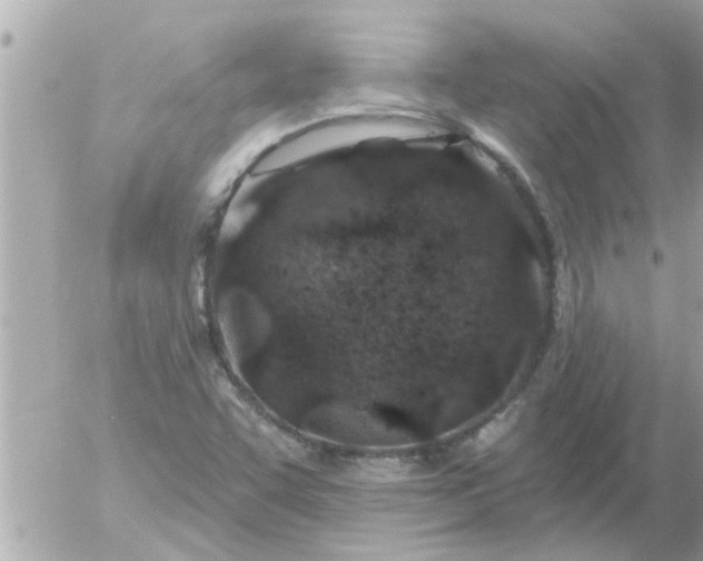 X0000055521455200508262153