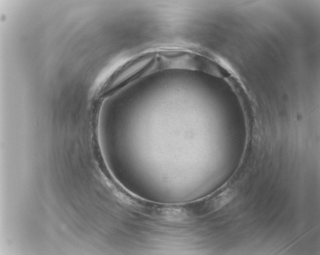 X0000055521456200508262153