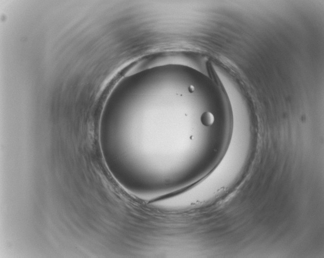 X0000055521457200508262153