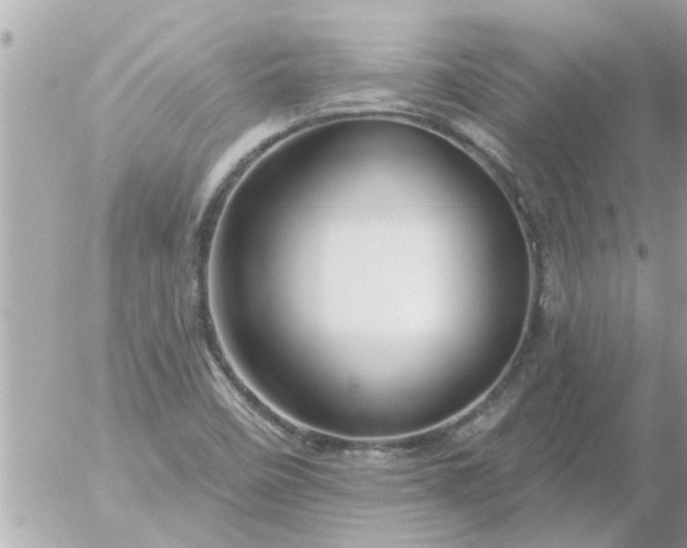 X0000055521458200508262153