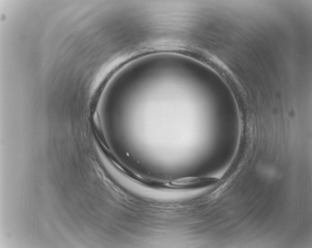 X0000055521461200508262153