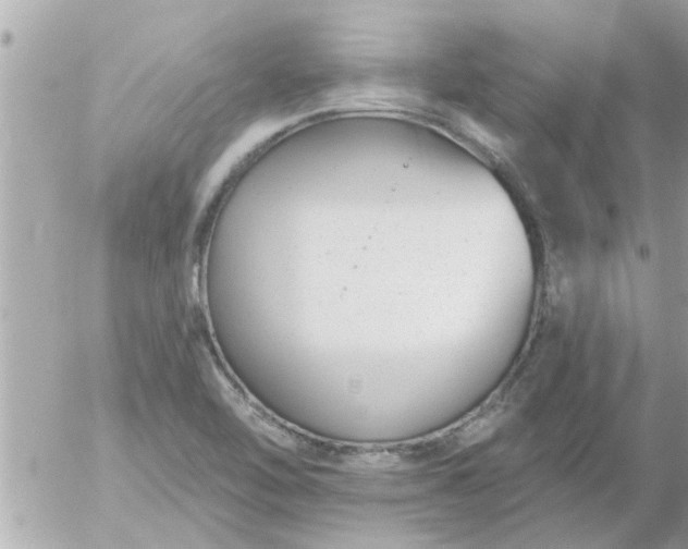 X0000055521462200508262153