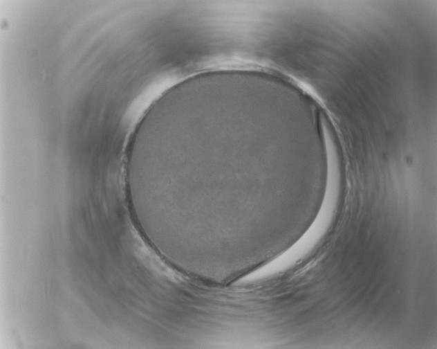 X0000055521463200508262153